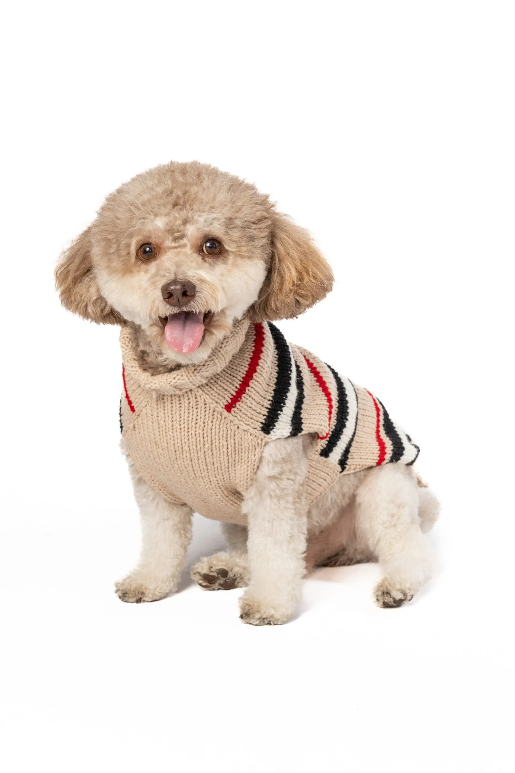 Alpaca Bently Stripe Hand Knit Wool Dog Sweater by Chilly Dog