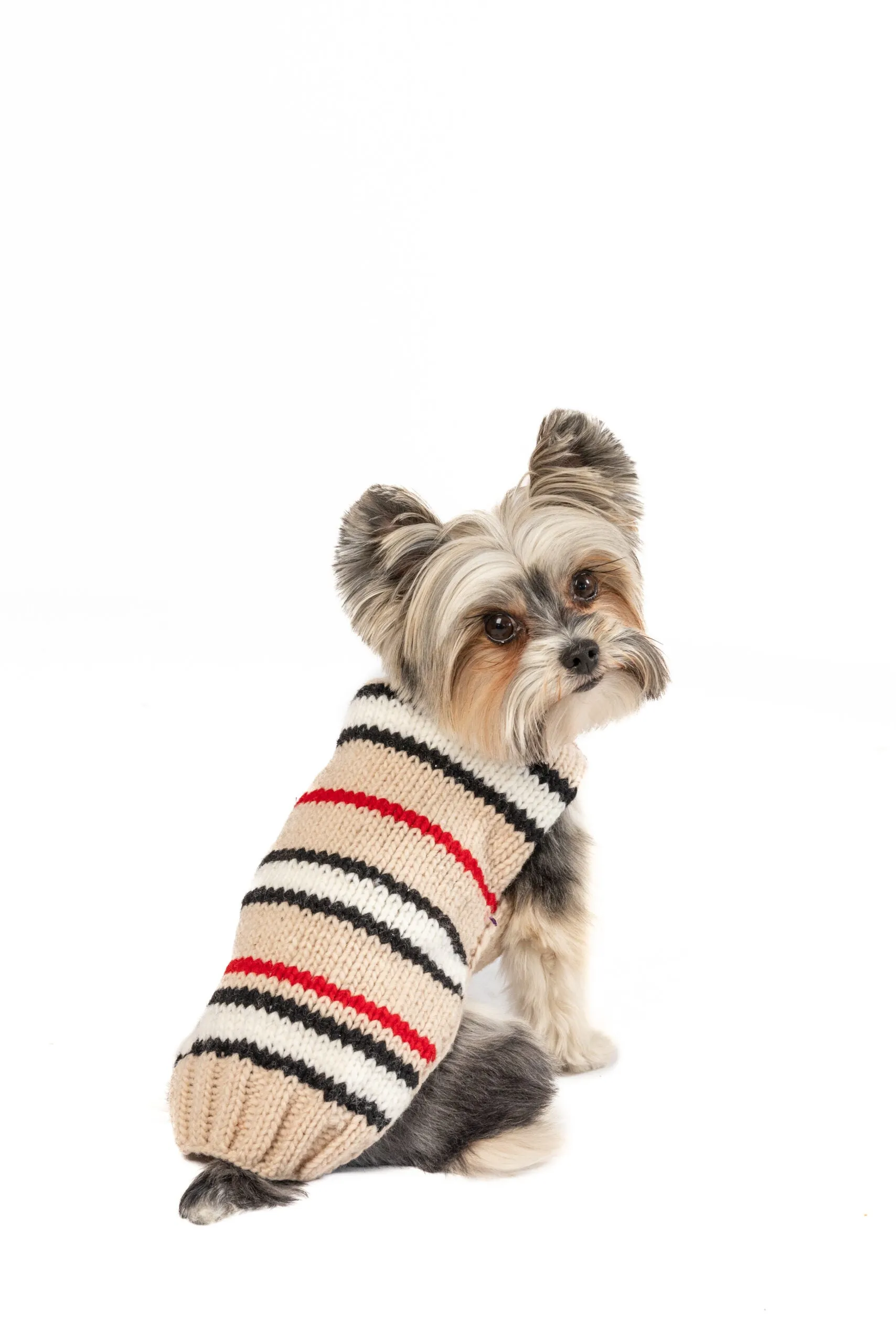 Alpaca Bently Stripe Hand Knit Wool Dog Sweater by Chilly Dog