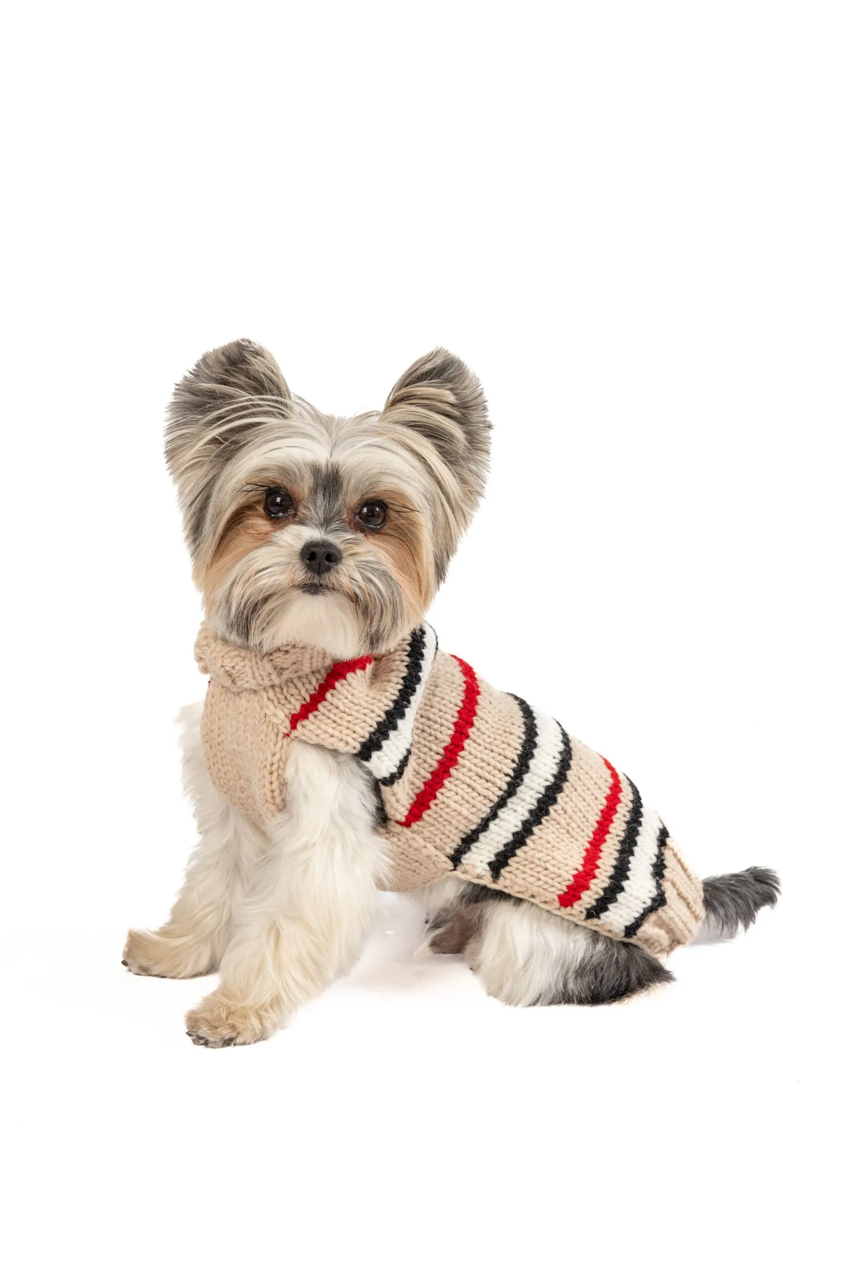 Alpaca Bently Stripe Hand Knit Wool Dog Sweater by Chilly Dog