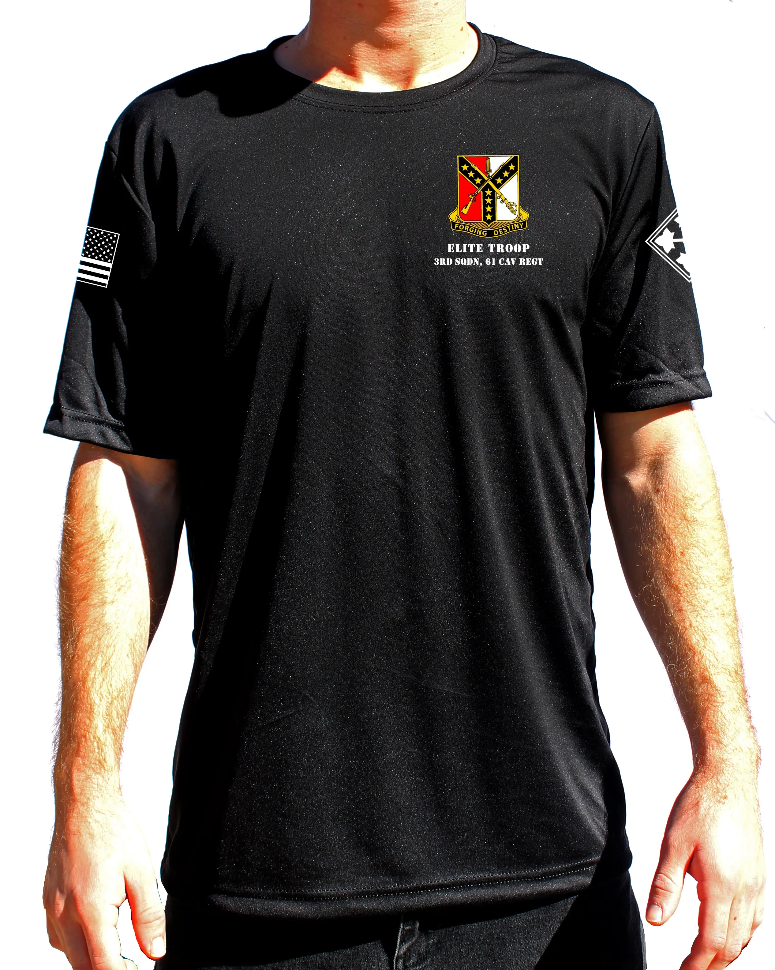 Elite Athletic Performance T-Shirt. This shirt IS approved for PT