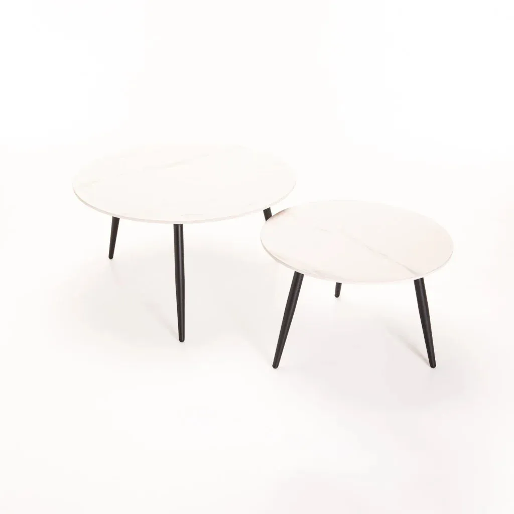 FIA SET OF 2 STONE TOP COFFEE TABLE