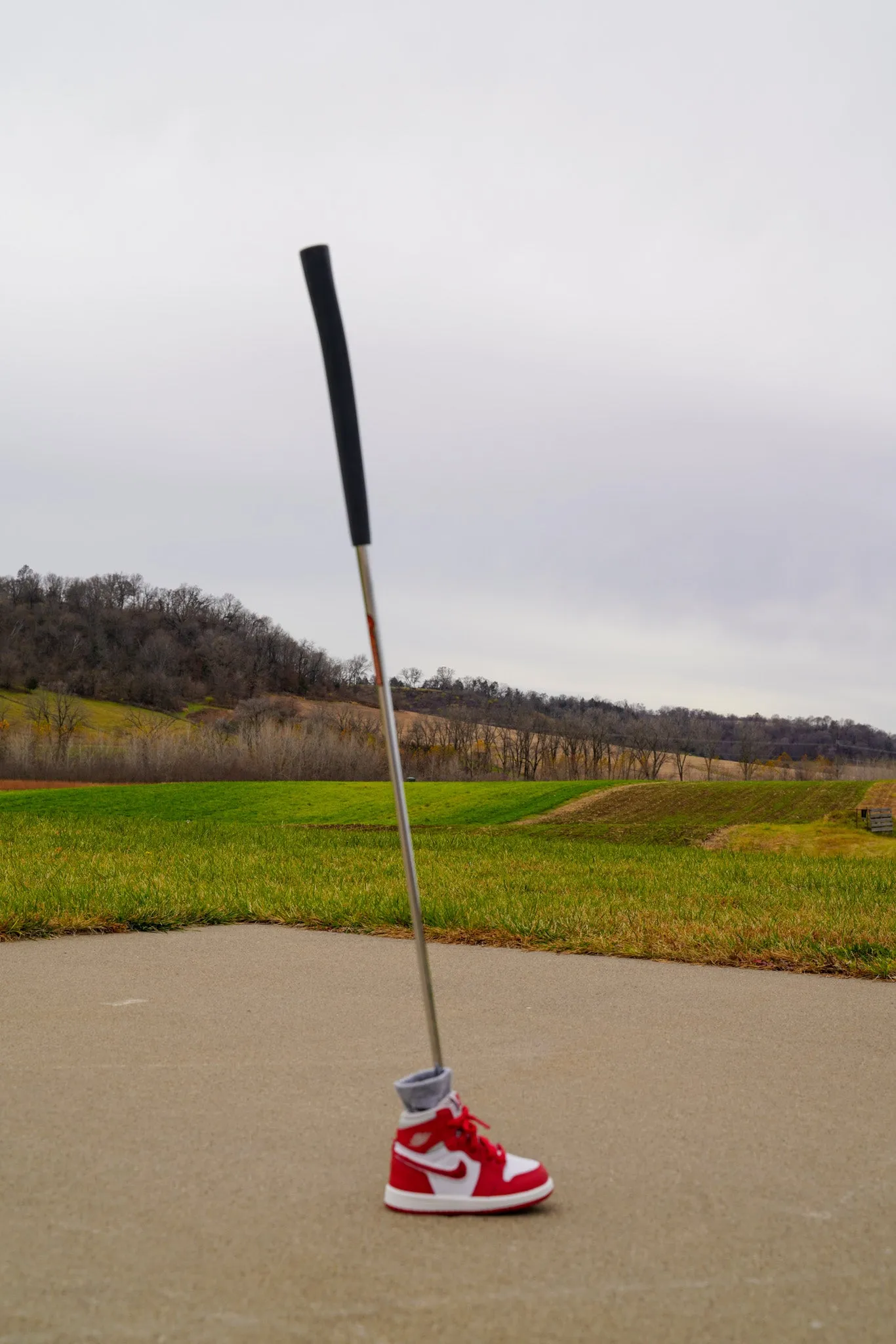 Jordan 1 Retro High OG [VARSITY RED ORE] Standing Sneaker Putter Cover