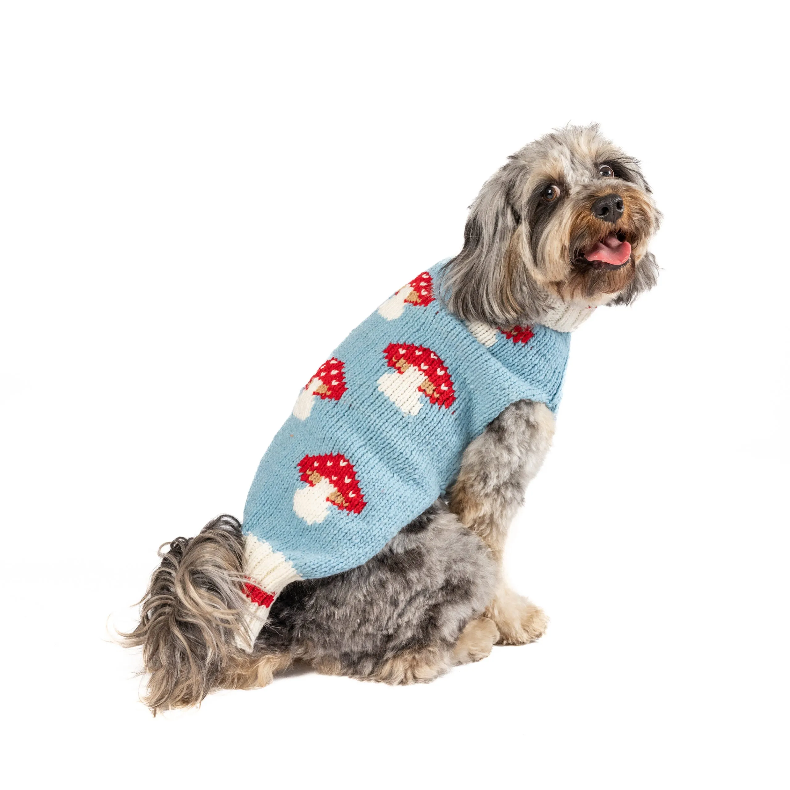 Mushroom Hand Knit Wool Dog Sweater by Chilly Dog