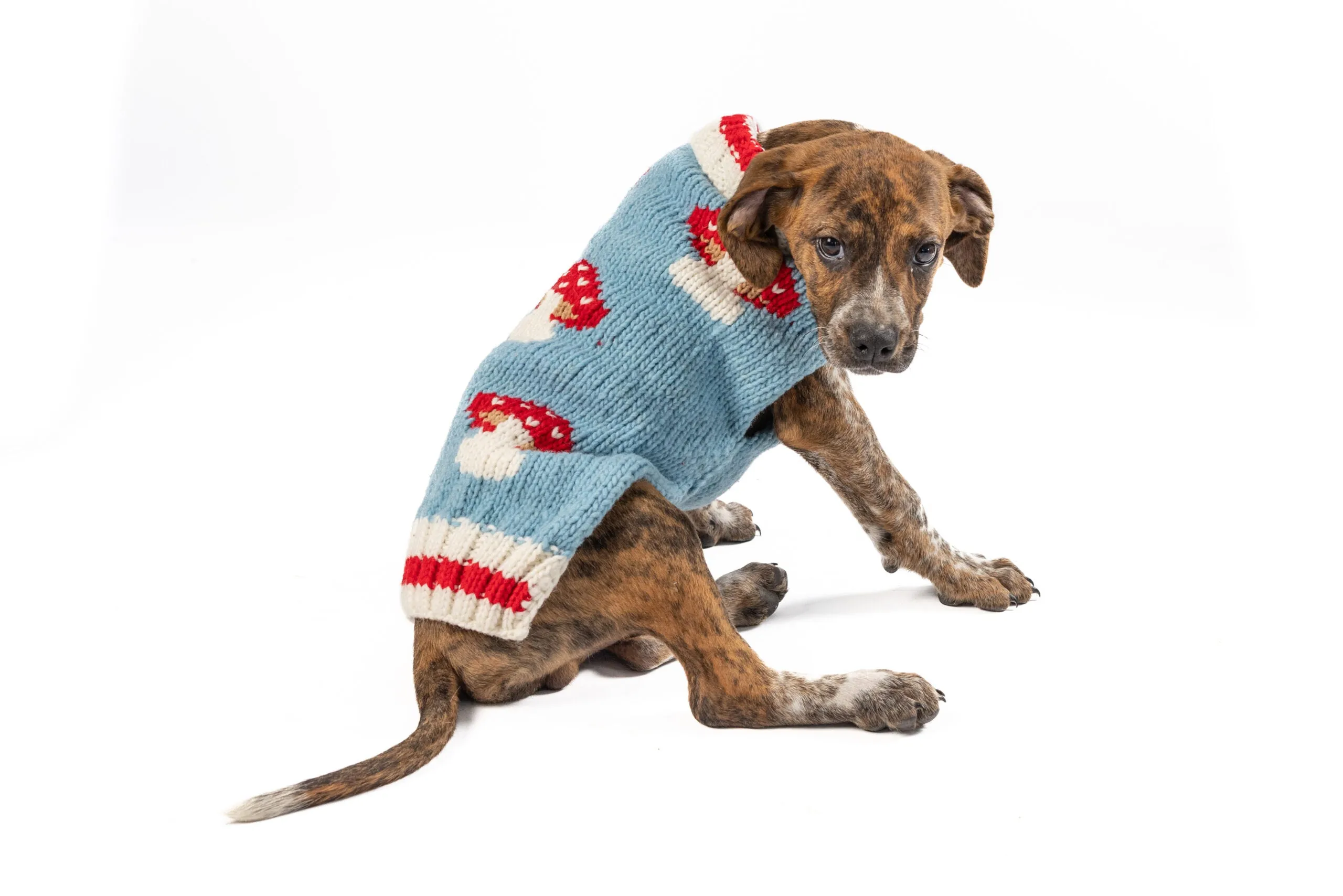 Mushroom Hand Knit Wool Dog Sweater by Chilly Dog