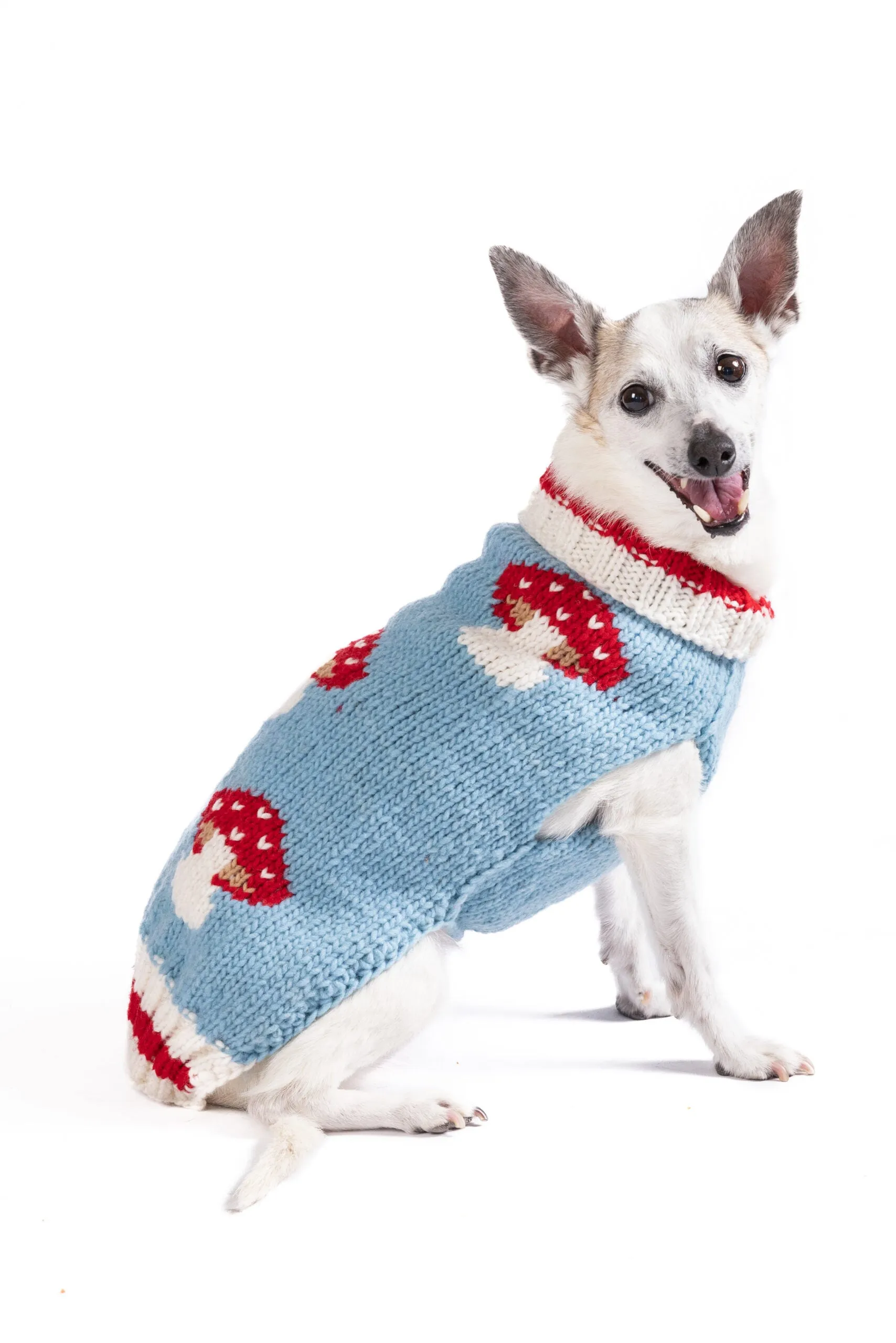 Mushroom Hand Knit Wool Dog Sweater by Chilly Dog