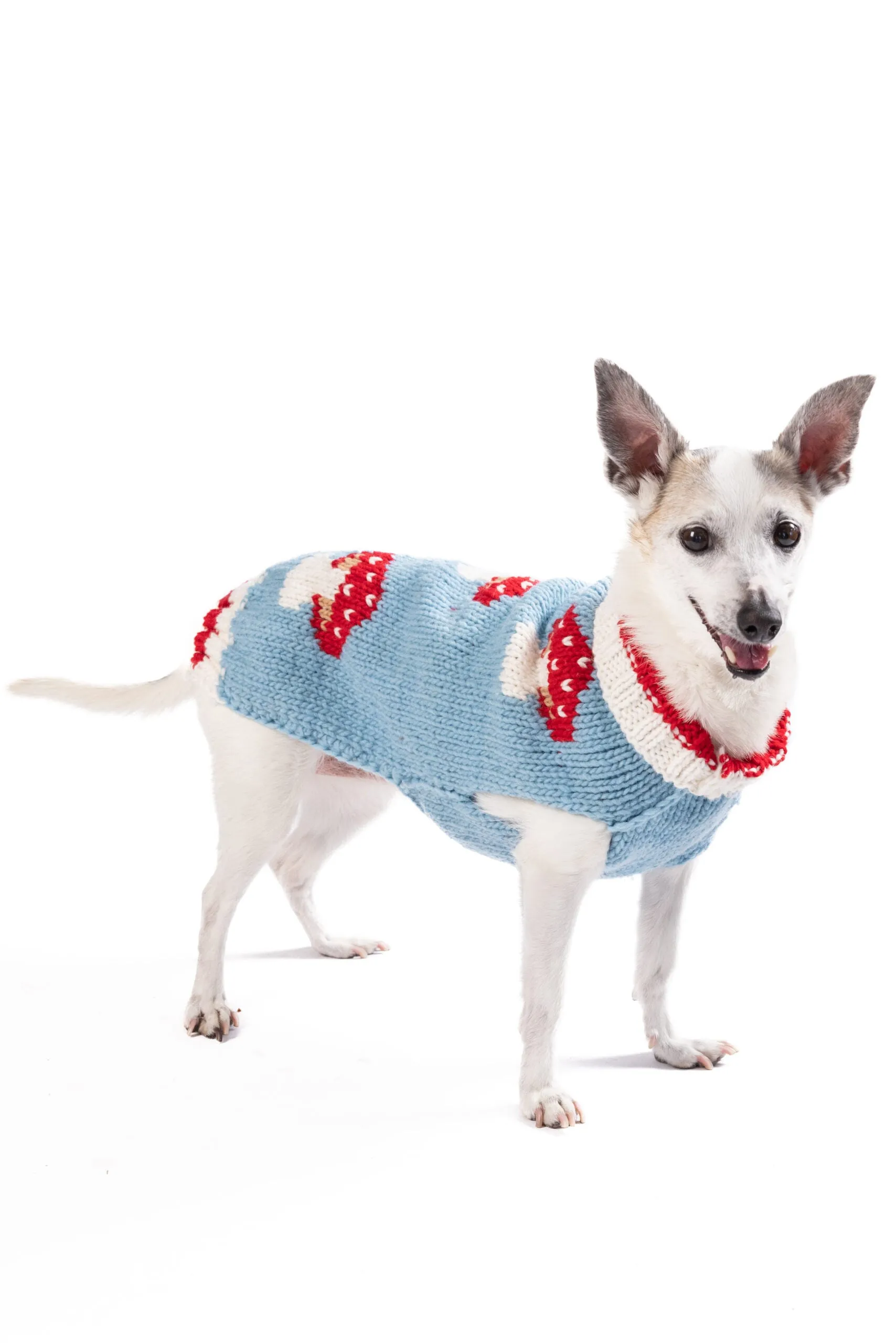 Mushroom Hand Knit Wool Dog Sweater by Chilly Dog